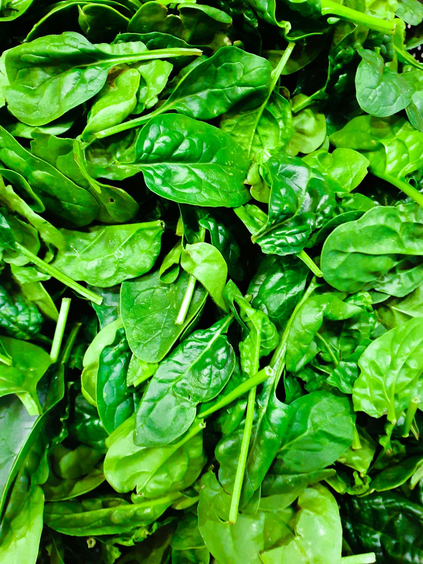 Kangkung Hidroponik, foto 1 dari 3
