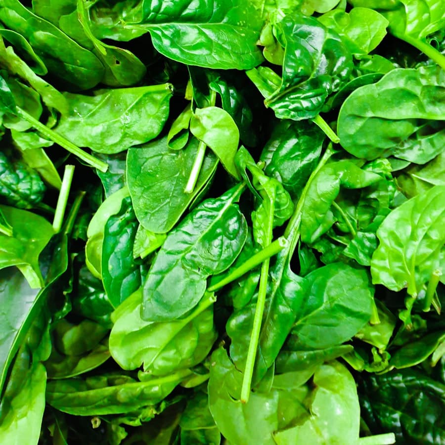 Kangkung Hidroponik, foto 2 dari 3